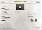 8.09/CT Natural South Sea Pearl With Lab Certificate (1550)