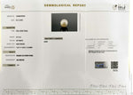 Load image into Gallery viewer, 22.1/CT Natural South Sea Pearl With Lab Certificate (1550)