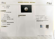 9.07/CT Natural South Sea Pearl With Lab Certificate (1550)