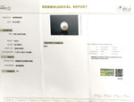 Load image into Gallery viewer, 9.5/CT Natural South Sea Pearl With Lab Certificate (1550)
