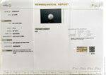 Load image into Gallery viewer, 5.78/CT Natural South Sea Pearl With Lab Certificate (1550)