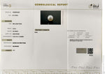 Load image into Gallery viewer, 5.32/CT Natural South Sea Pearl With Lab Certificate (1550)