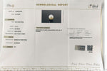 Load image into Gallery viewer, 3.73/CT Natural South Sea Pearl With Lab Certificate (1550)