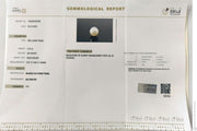 3.73/CT Natural South Sea Pearl With Lab Certificate (1550)
