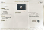 Load image into Gallery viewer, 8.50/CT Natural South Sea Pearl With Lab Certificate (1550)