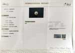 Load image into Gallery viewer, 3.94/CT Natural South Sea Pearl With Lab Certificate (1550)