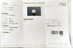 Load image into Gallery viewer, 7.68/CT Natural South Sea Pearl With Lab Certificate (1550)
