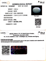 Load image into Gallery viewer, 12.66/CT Natural Fire Opal with Govt. Lab Certificate-4551
