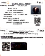 Load image into Gallery viewer, 7.58/CT Natural Scapolite Cat&#39;s Eye with Govt. Lab Certified-(1221)
