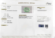 3.84/CT Natural Panna Stone with Govt. Lab Certificate-16489S207705