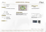 3.87/CT Natural Panna Stone with Govt. Lab Certificate-16489S207708