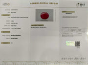 2.98/CT Natural Ruby Stone with Govt. Lab Certificate-16658S208754