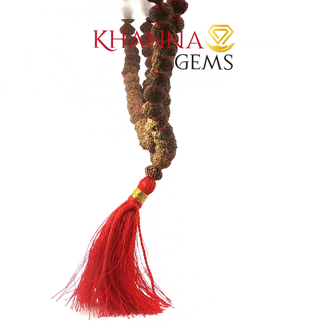NINE MUKHI RUDRAKSHA MALA