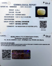 8.29/CT Natural Ceylonese Pukhraj with Govt Lab Certificate-4551