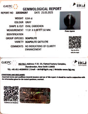 6.64/CT Natural Scapolite Cat's Eye with Govt. Lab Certified-(1221)