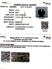 6.65/CT Natural Scapolite Cat's Eye with Govt. Lab Certified-(1221)