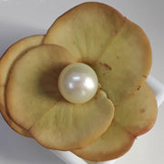 6.63 Carat Natural South Sea Pearl With Lab Certificate