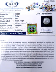 Keshi Pearl-1650