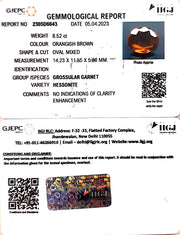 8.52/CT Natural Govt. Lab Certified Ceylonese Gomed-(1221)