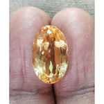 Load image into Gallery viewer, Golden Topaz-450
