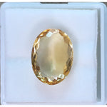 Load image into Gallery viewer, Golden Topaz-450
