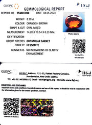 8.29/CT Natural Govt. Lab Certified Ceylonese Gomed-(1221)