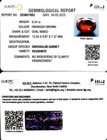 Load image into Gallery viewer, 9.34/CT Natural Govt. Lab Certified Ceylonese Gomed-(1221)
