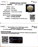 Load image into Gallery viewer, 5.80/CT Natural Ceylonese Pukhraj with Govt Lab Certificate (4551)
