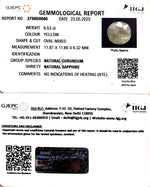 Load image into Gallery viewer, 8.53/CT Natural Ceylonese Pukhraj with Govt Lab Certificate-6771
