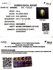 4.94/CT Natural Chrysoberyl Cat's Eye With Govt. Lab Certificate (6771)