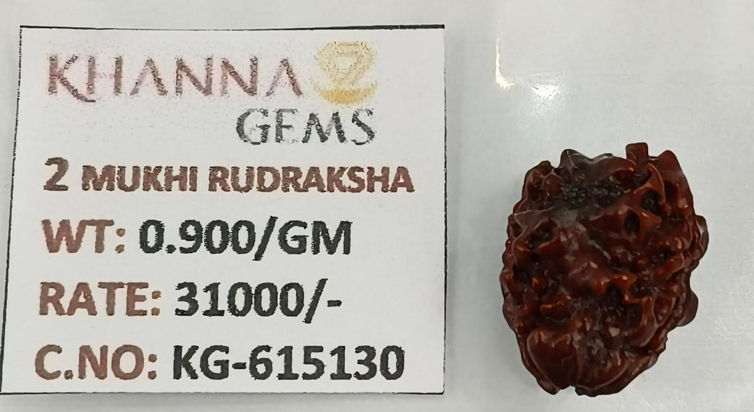 0.900 Gram Natural Two Mukhi Rudraksha with Govt. Lab Certificate-KG615130