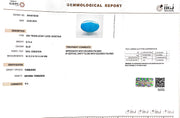 6.72/CT Natural Govt. Lab Certified Turquoise (832)