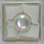 Load image into Gallery viewer, FRESH WATER PEARL (277)
