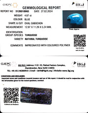 4.87/CT Natural Govt. Lab Certified Turquoise (1221)