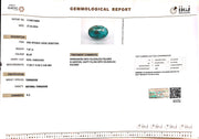 7.67/CT Natural Govt. Lab Certified Turquoise (1221)