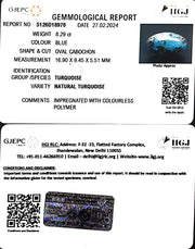 8.29/CT Natural Govt. Lab Certified Turquoise (1221)