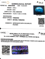 4.98/CT Natural Govt. Lab Certified Turquoise-1221