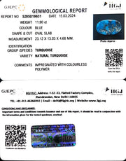 11.90/CT Natural Govt. Lab Certified Turquoise-1221