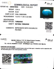 3.84/CT Natural Govt. Lab Certified Turquoise-1221