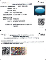 Load image into Gallery viewer, 9.08/CT Natural Govt. Lab Certified Turquoise-832
