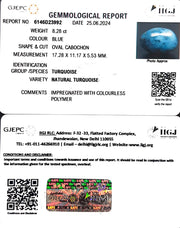 8.28/CT Natural Govt. Lab Certified Turquoise-1221