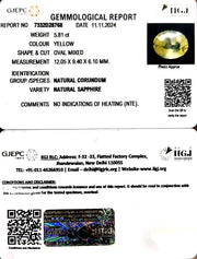 5.81/CT Natural Ceylonese Pukhraj with Govt Lab Certificate-12210