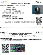 3.76/CT Natural Scapolite Cat's Eye with Govt. Lab Certificate-1221