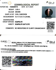 3.09/CT Natural Scapolite Cat's Eye with Govt. Lab Certificate-1221