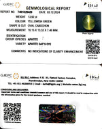 Load image into Gallery viewer, 13.92/CT Natural Apatite Cat&#39;s Eye with Govt. Lab certificate-1221
