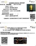 Load image into Gallery viewer, 9.35/CT Natural Apatite Cat&#39;s Eye with Govt. Lab certificate-1221
