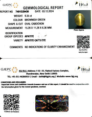 9.35/CT Natural Apatite Cat's Eye with Govt. Lab certificate-1221