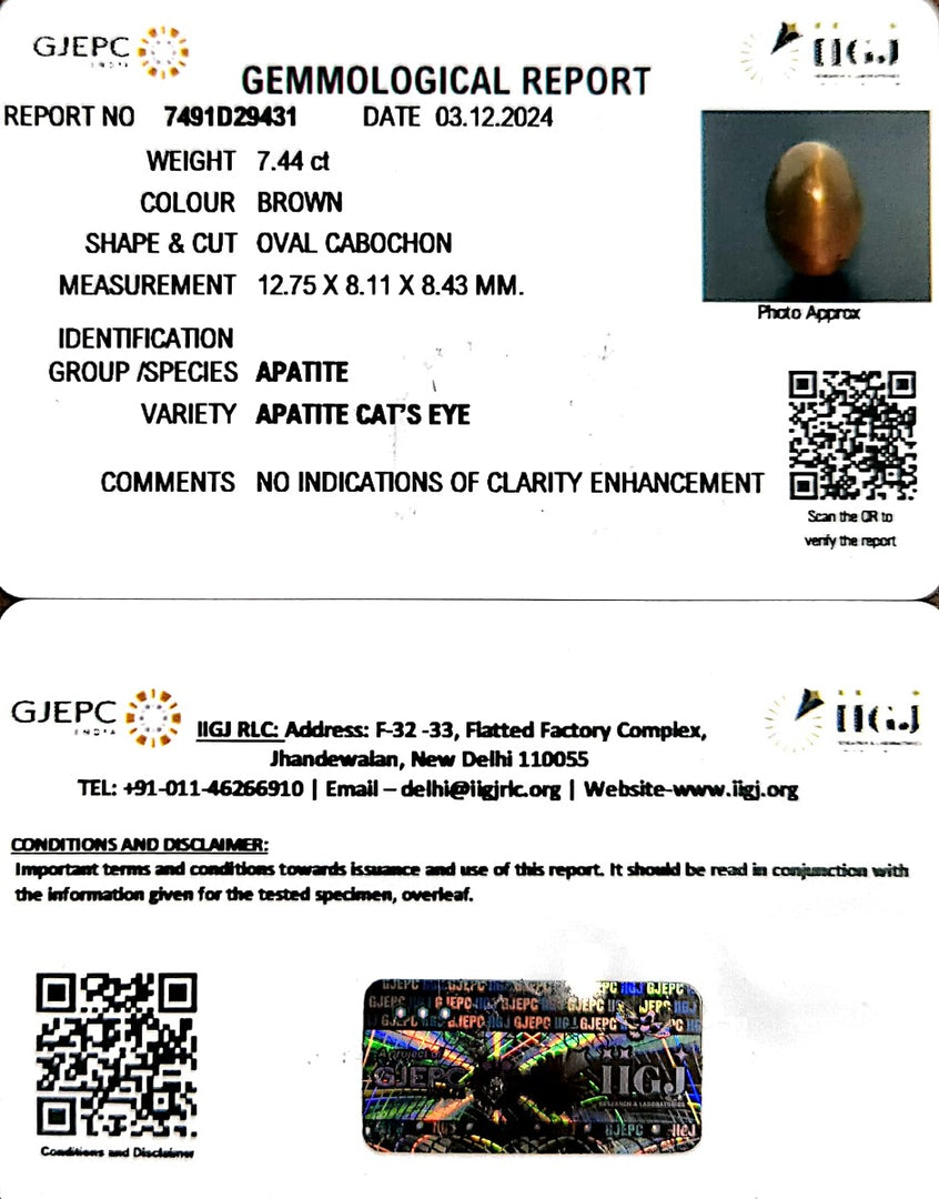 7.44/CT Natural Apatite Cat's Eye with Govt. Lab certificate-1221