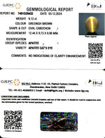 Load image into Gallery viewer, 9.12/CT Natural Apatite Cat&#39;s Eye with Govt. Lab certificate-1221
