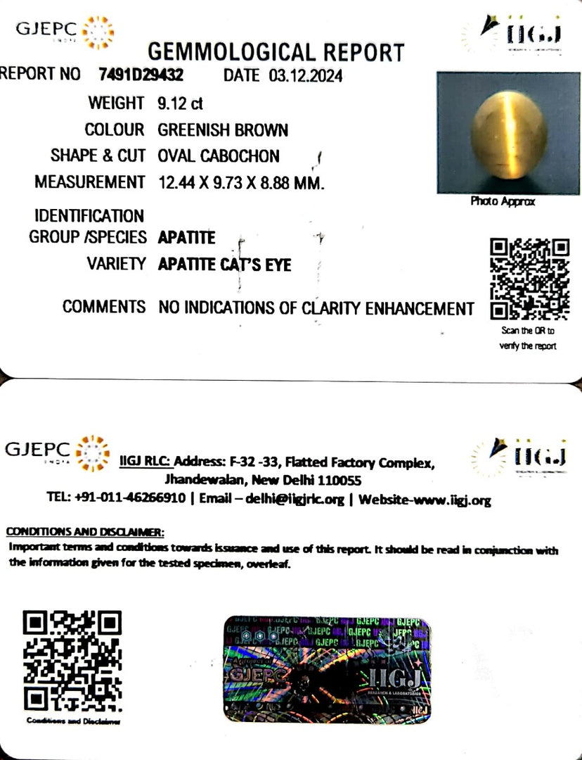9.12/CT Natural Apatite Cat's Eye with Govt. Lab certificate-1221